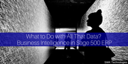 What to Do with All That Data? Business Intelligence in Sage 500 ERP